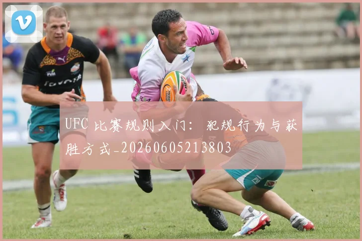 UFC 比赛规则入门:犯规行为与获胜方式_20260605213803
